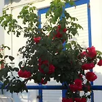 Διαμέρισμα Dimitra Σκαφιδιά