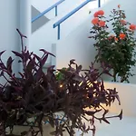 Dimitra סקאפידיה