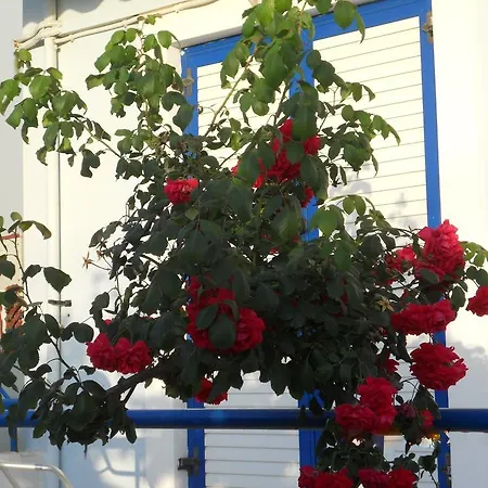 Διαμέρισμα Dimitra Σκαφιδιά