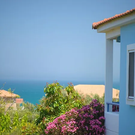 Dimitra Apartment Skafidia