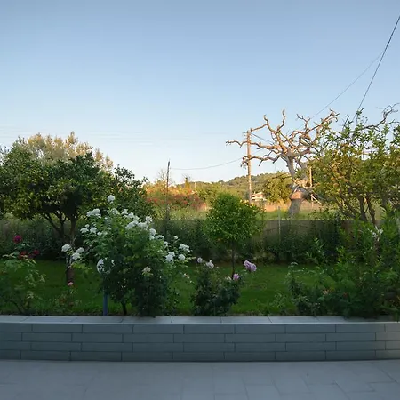 Dimitra Apartamento Skafidia