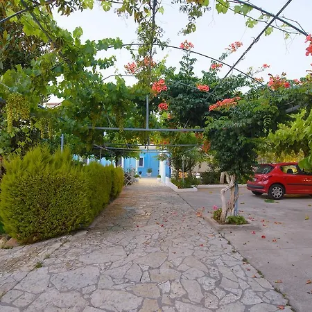 Dimitra Apartment Skafidia