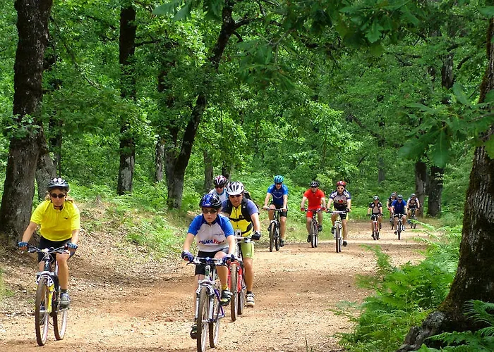 Daire Dimitra Skafidia