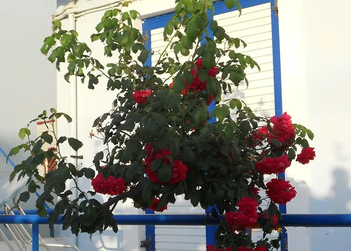 아파트 Dimitra 스카피디아