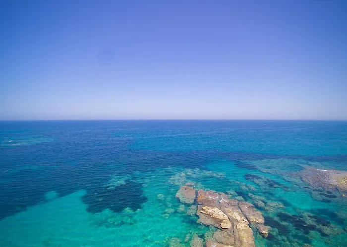 Dimitra * スカフィディア